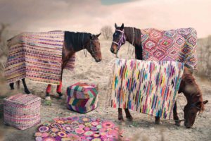 Horses modeling rugs from The Rug Republic